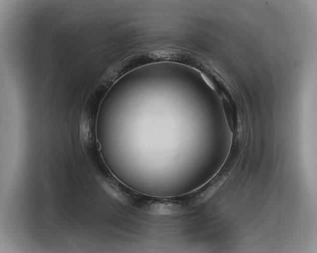 X0000116610408200912111138