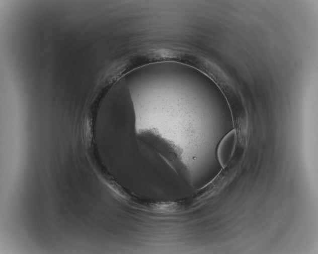 X0000116610410200912111138