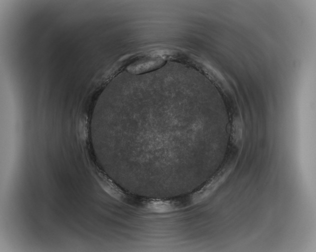 X0000116610413200912111138