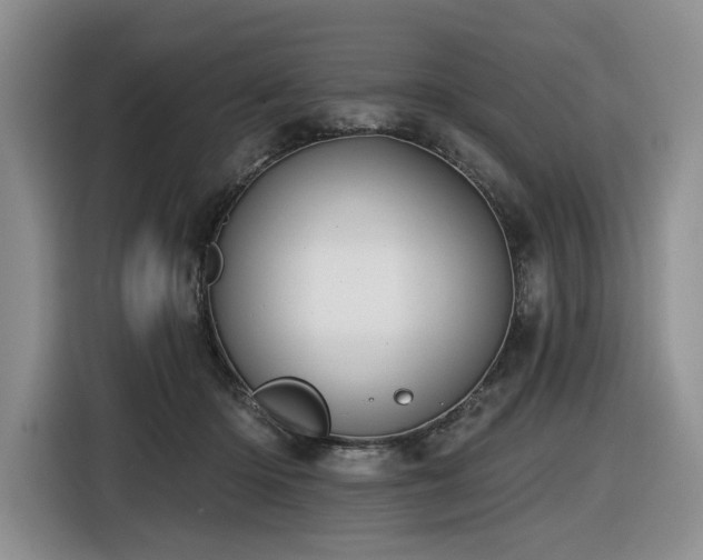 X0000116610414200912111138