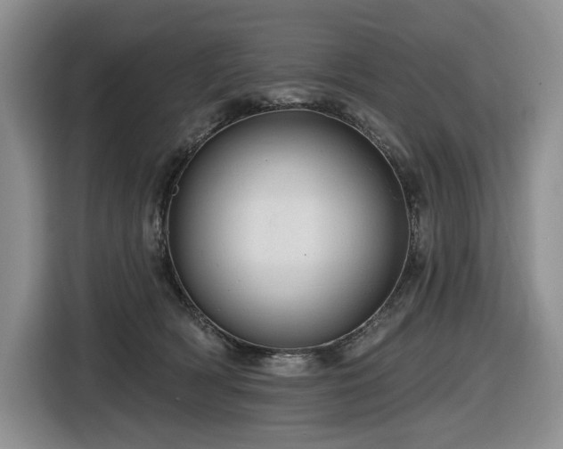 X0000116610418200912111138
