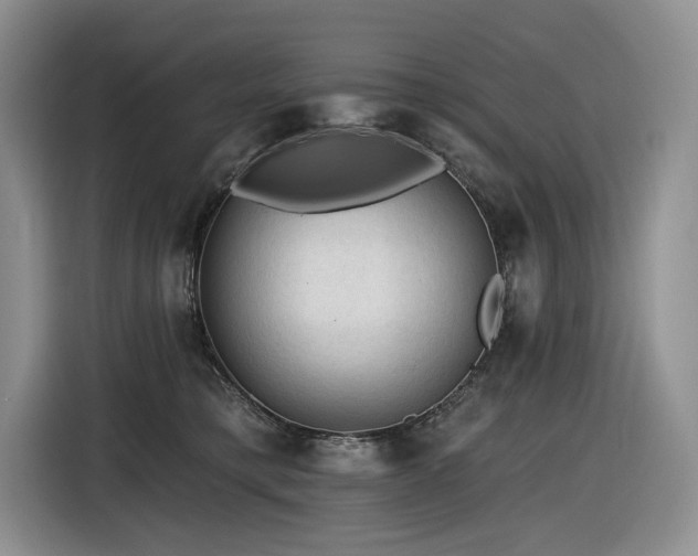X0000116610421200912111138