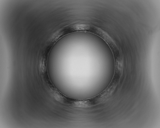 X0000116610422200912111138