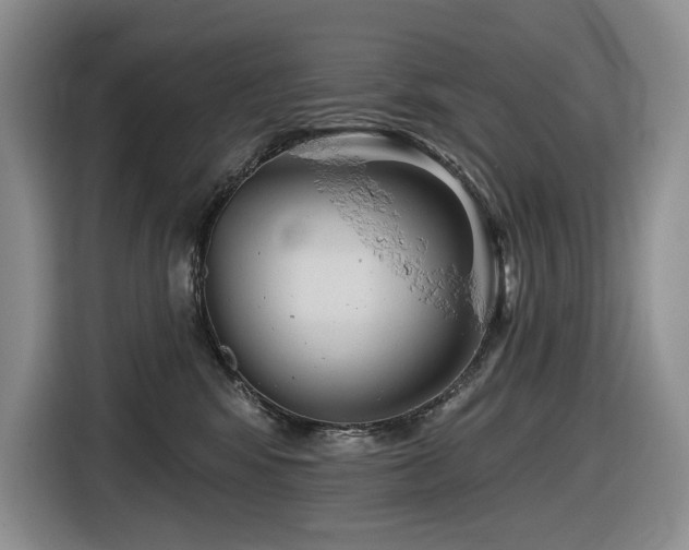 X0000116610424200912111138