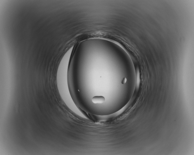 X0000116610425200912111138
