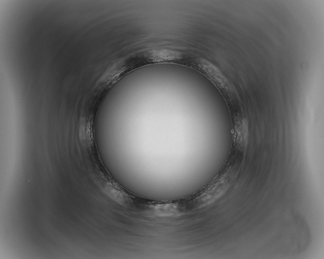 X0000116610426200912111138