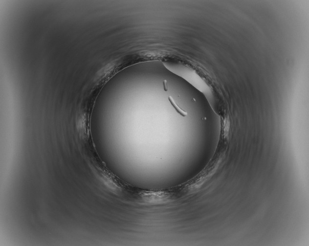 X0000116610428200912111138