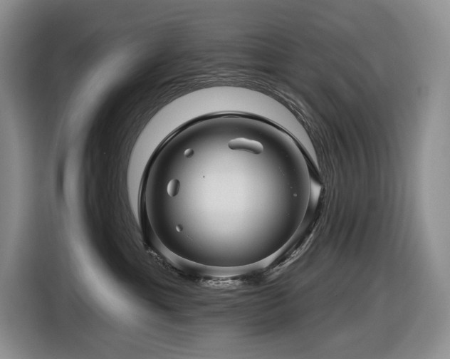X0000116610429200912111138