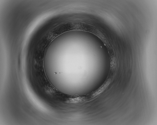 X0000116610430200912111138