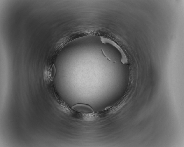 X0000116610432200912111138