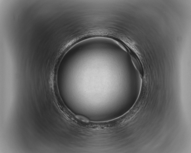 X0000116610434200912111137