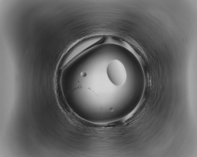 X0000116610436200912111137