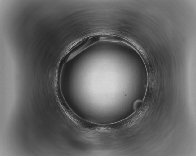 X0000116610437200912111137