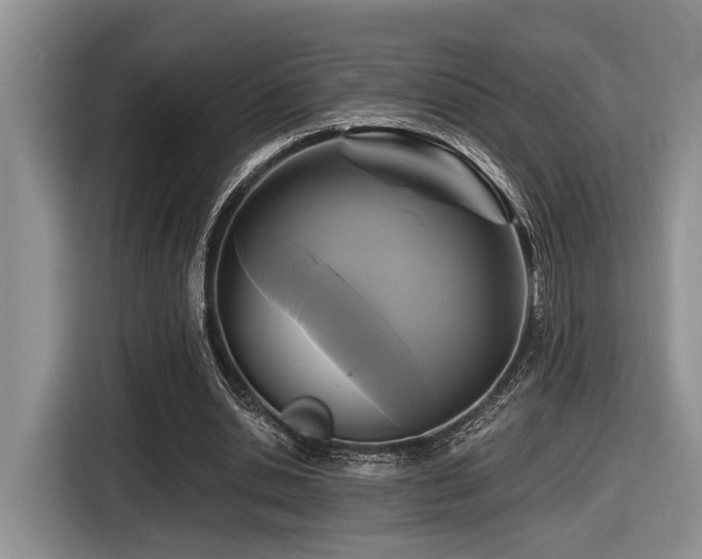 X0000116610438200912111137
