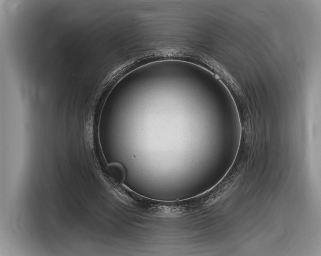 X0000116610442200912111137