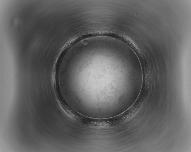X0000116610443200912111137