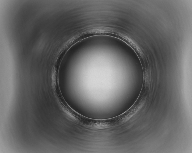 X0000116610445200912111137