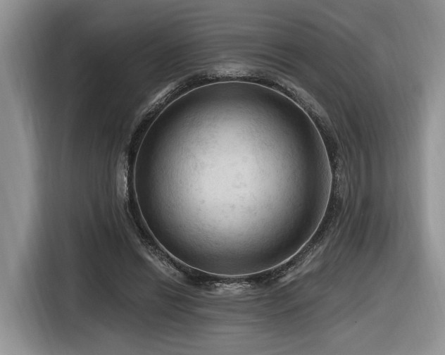 X0000116610446200912111137
