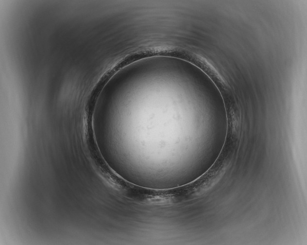 X0000116610447200912111137