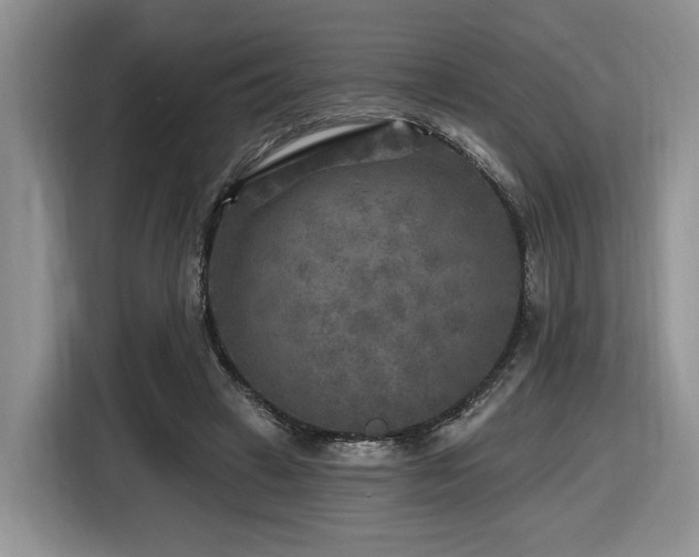 X0000116610449200912111137