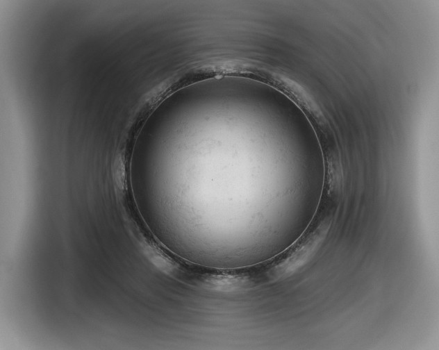 X0000116610453200912111137