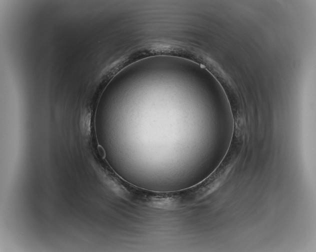 X0000116610454200912111137