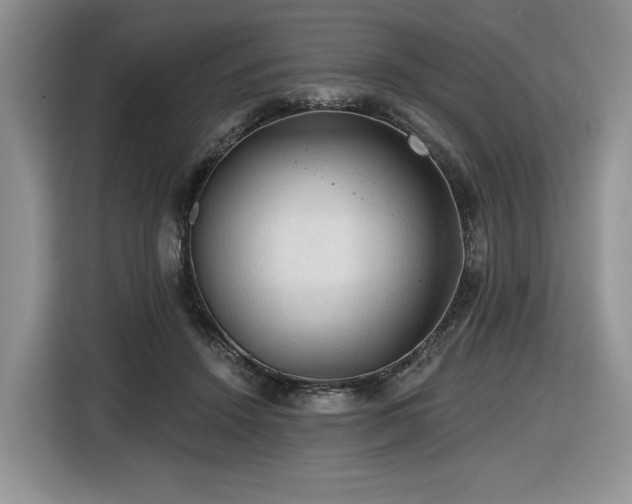 X0000116610456200912111137
