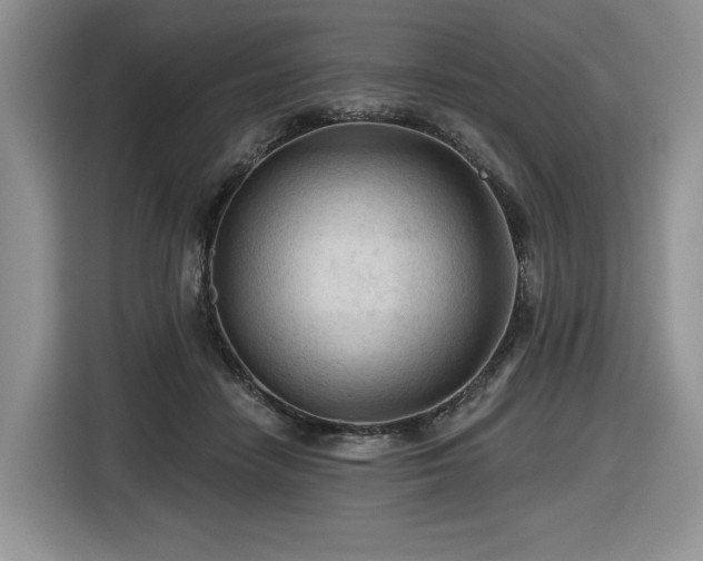 X0000116610458200912111137