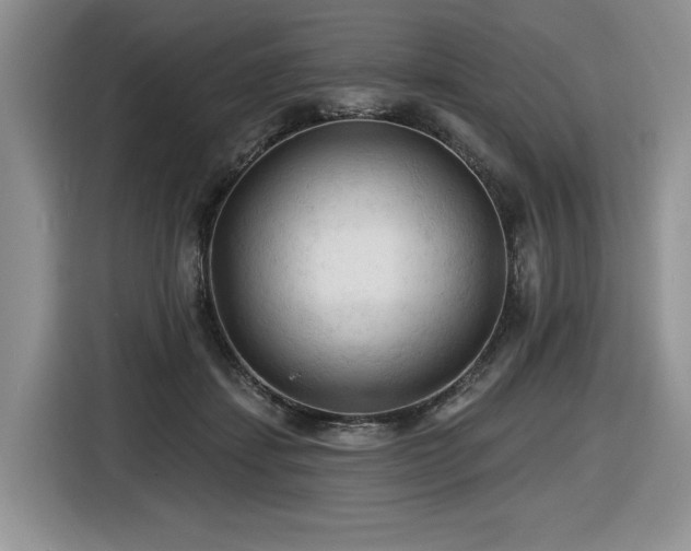 X0000116610459200912111137