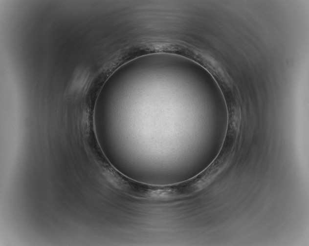 X0000116610461200912111137