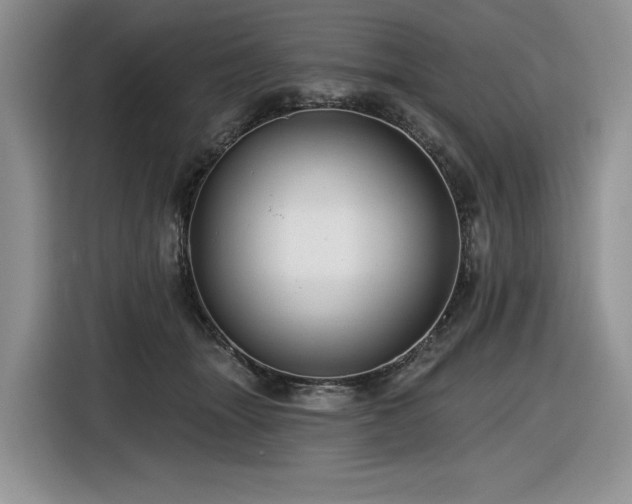 X0000116610463200912111137
