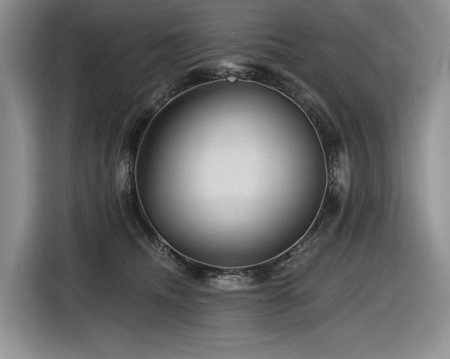 X0000116610468200912111137