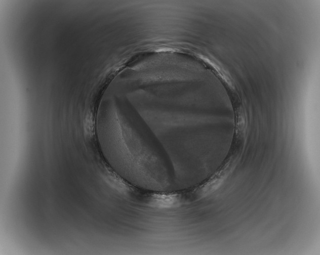 X0000116610469200912111137
