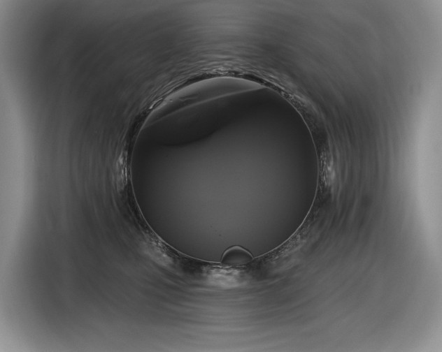 X0000116610471200912111137