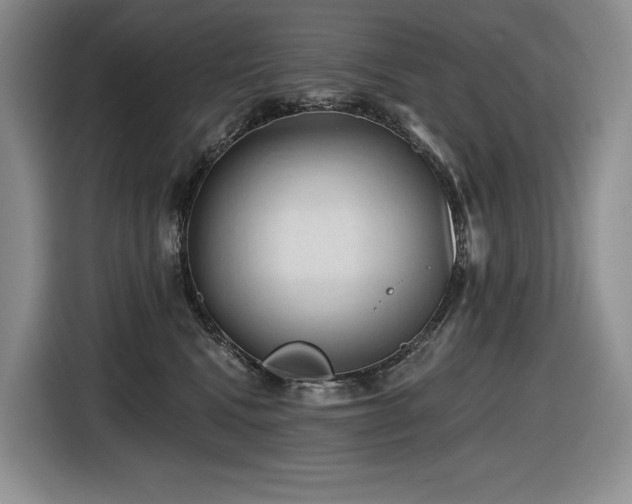 X0000116610472200912111137