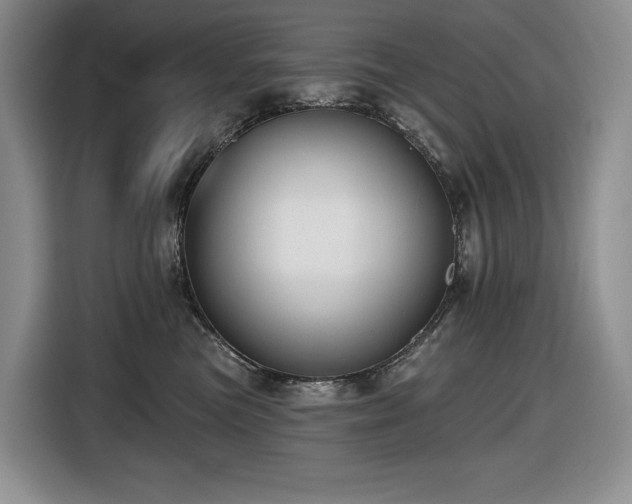 X0000116610473200912111138