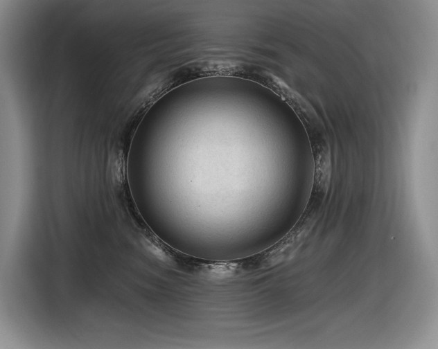 X0000116610474200912111138