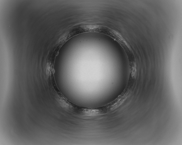 X0000116610476200912111138