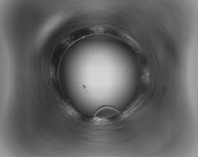 X0000116610477200912111138