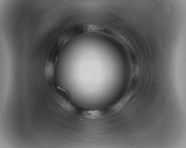 X0000116610478200912111138