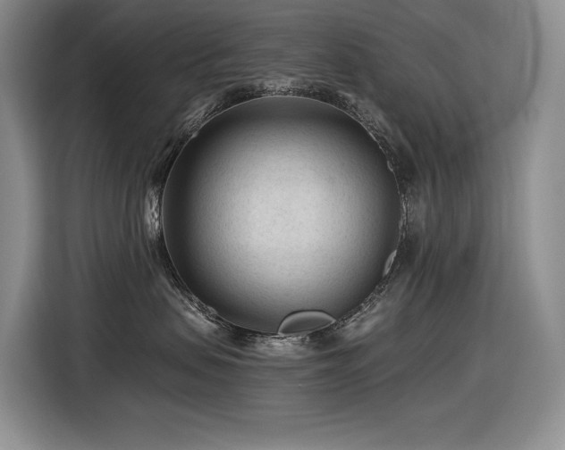X0000116610479200912111138