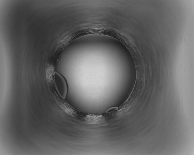 X0000116610480200912111138