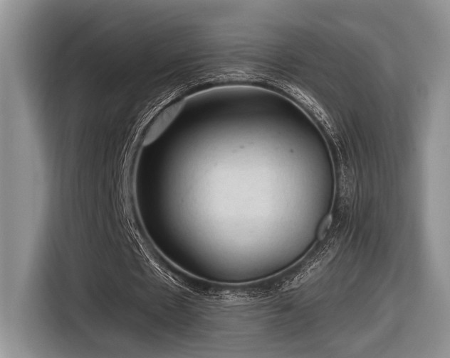 X0000116610481200912111137
