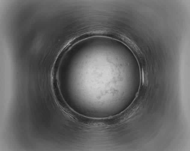 X0000116610483200912111137