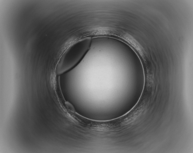 X0000116610485200912111137
