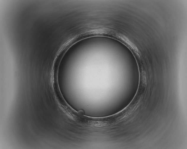 X0000116610486200912111137