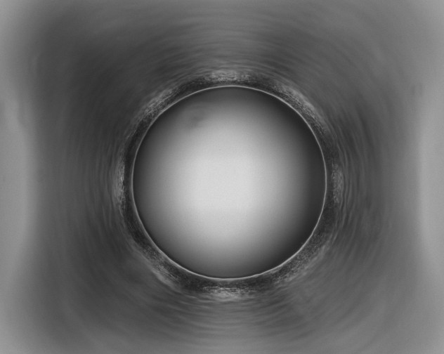 X0000116610490200912111137