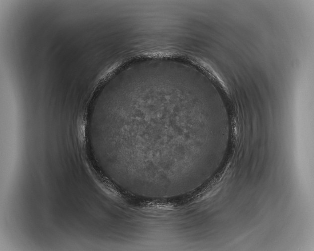 X0000116610491200912111137