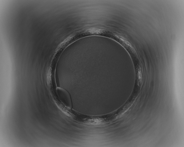 X0000116610492200912111137