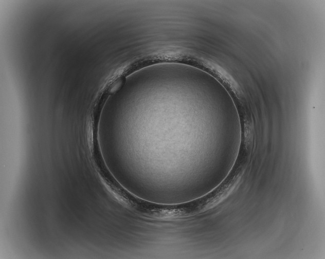 X0000116610493200912111137
